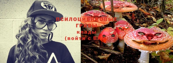 метамфетамин Алексеевка
